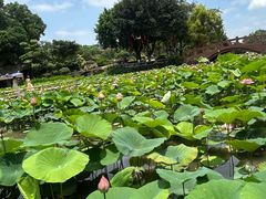 -广州莲花山旅游区