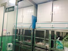 -半岛宠物医院24小时(科华中路店)