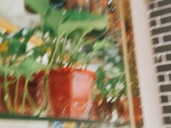 -陶然居·重庆菜(鱼洞老街店)