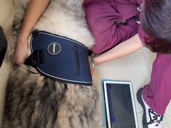 -宠颐生宠物医院·骨外科·犬猫全科诊疗中心(池州店)