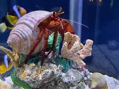 -太平洋海底世界