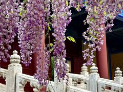 -北京国子监胡同