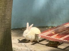 -清远恒大酒店·寻味清远