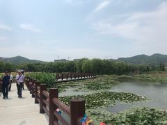 -长兴太湖图影湿地文化园