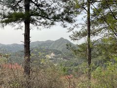-木兰云雾山