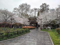 -堤角公园