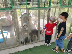 -萌宠亲子动物乐园(槐房万达店)