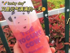 -一只酸奶牛(欧亚大观店)