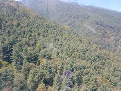 -苍山感通索道
