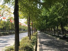 -上海长兴岛郊野公园