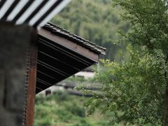 -MOJ coffee(瓯海泽雅水碓坑店)