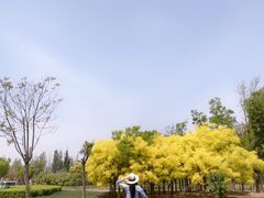 -武清南湖绿博园