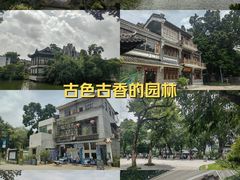 -荔湾湖公园