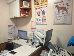 -瑞派·关忠动物医院·异宠专科·犬猫肿瘤·皮肤专科(望京店)