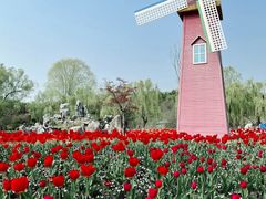 -祥源·阜阳生态乐园