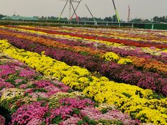 -中国天府农业博览园