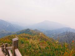 -大岭沟猕猴桃谷风景区