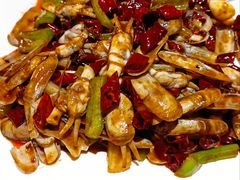 麻辣蛏子-福苗小骆驼烧烤(莲湖路店)