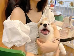 -柯斗斗主题餐厅·狗咖·围炉煮茶·茶饮(国瑞升平里店)