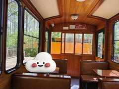 -合肥滨湖国家森林公园