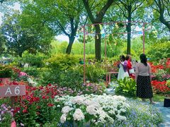 -上海鲜花港