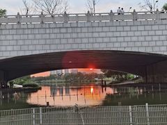 -飞来湖湿地公园