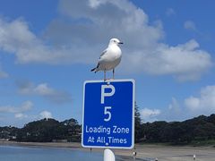 -Takapuna Beach Cafe