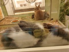 -龙猫仔乐园(惠福东路店)