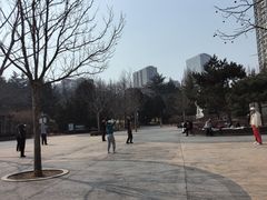 -富斯特索道