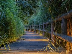 -成都市活水公园