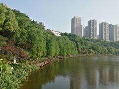 -重庆彩云湖湿地公园