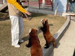 -水上乐园·欢乐世界