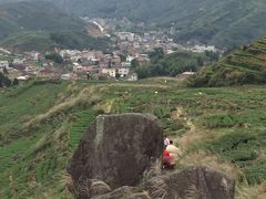 -文雅轩茶叶(锦和越界田林坊店)