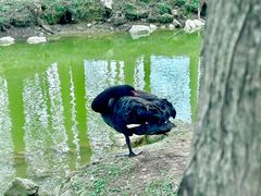 -佛冈森波拉度假区