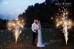 -巴黎经典婚纱摄影PARISSIC