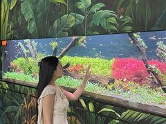 -海合安成都极地海洋公园