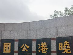 -晓港公园