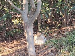 -青岛海滨风景区
