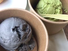 -Madeleine玛德琳(永平里店)