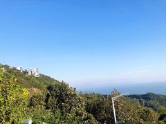 -东部华侨城
