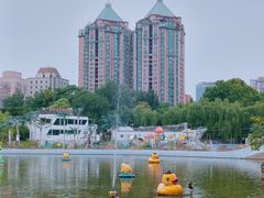 -团结湖公园