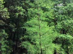 -广州市白云山风景名胜区
