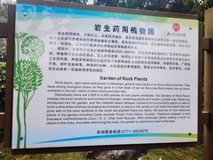 -广西壮族自治区药用植物园