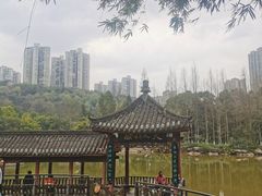 -龙头寺公园