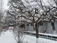 -金城公园