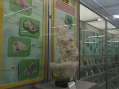 -北京中医药大学-中医药博物馆