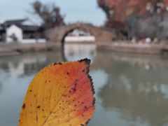 -枫桥景区