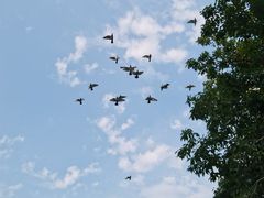 -前门兵部洼胡同停车场