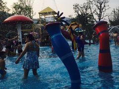 -苏州乐园森林水世界