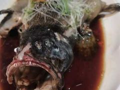 -新海渔港·胶东海鲜家常菜·家宴(奥体中心店)
